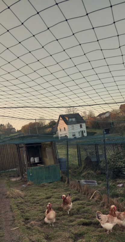 Abdecknetz 20 mm Maschenweite Breite: 11,40 Meter